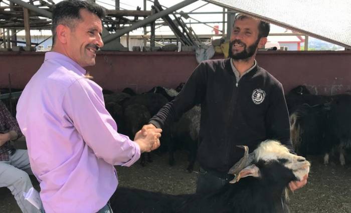 Bingöl’de Kurbanlıklar İçin Kol Koparan Pazarlıklar Sürüyor