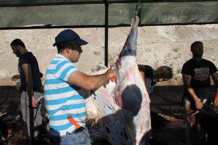 Elazığ’da Bayram Namazından Çıkan Vatandaşlar, Kurbanlarını Kesti