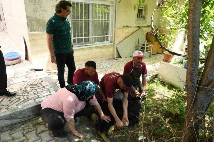 174 Vatandaşın Evlerine Gidilerek, Kurban Kesim Hizmeti Verildi