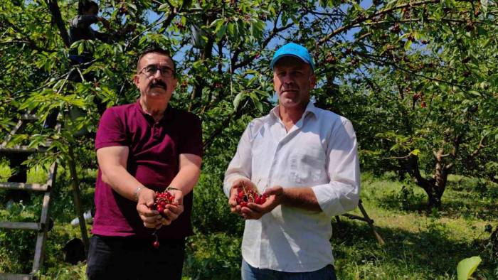 Bursa’dan Avrupa’ya Kiraz İhracatı