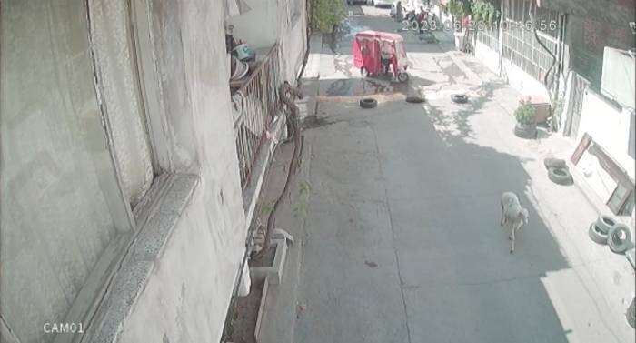Kesim Esnasında Kaçan Kurbanlık Koyunun Çalınma Anı Kameraya Yansıdı