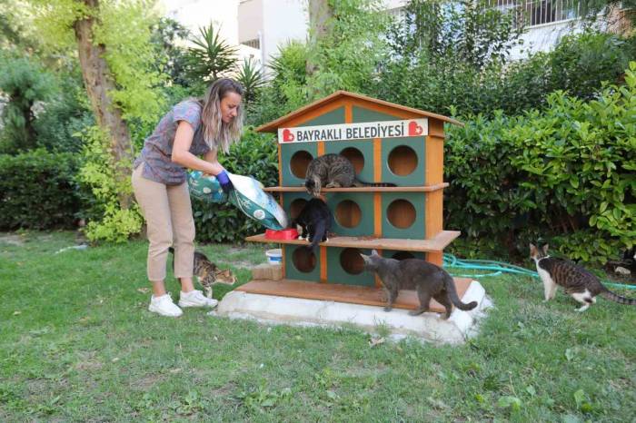 Bayraklı’da Can Dostlara Mama Ve Su Desteği