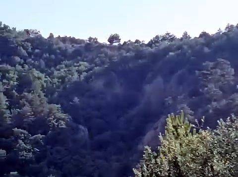 Ormanda Yürüyüş Yaparken 200 Metrelik Uçuruma Düştü