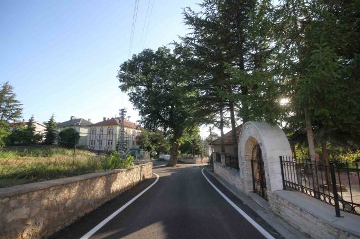 Kesmeye Kıyamadıkları 2 Asırlık Meşe Ağacı Yol Ortasında Kaldı