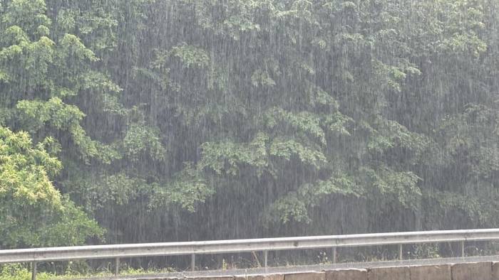 Türkiye’de En Çok Yağışın Düştüğü İl Düzce Oldu