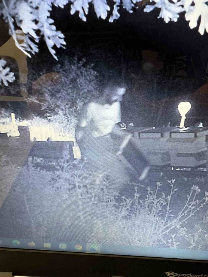 Çanakkale’de Bal Ormanlarına Ayıların Girmemesi İçin Kurulan Foto Kapana Hırsız Takıldı