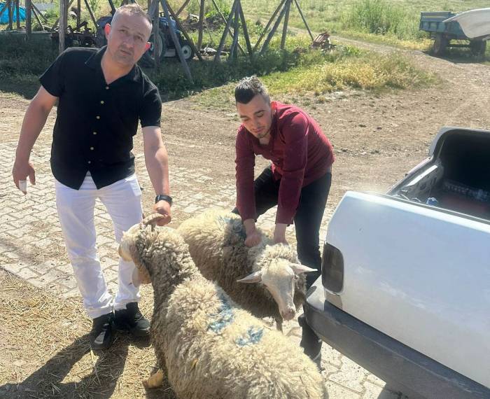 Hisarcık Dereköy’de Kurban Kesemeyen 18 Aileye Hayırseverlerden Kurban Bağışı