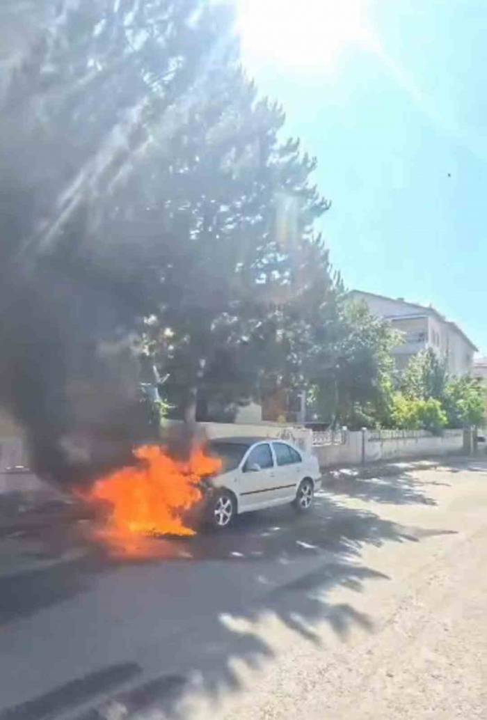 Park Halindeki Araç Alev Alev Yandı