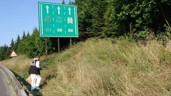 Tem Otoyolu’nun Kocaeli Geçişinde Yeşillik Alanda Çürümüş Ceset Bulundu