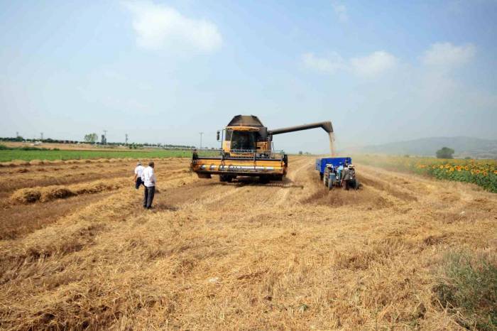 Başkan Aydın Devreye Girdi, Tmo Alımlara Başlıyor