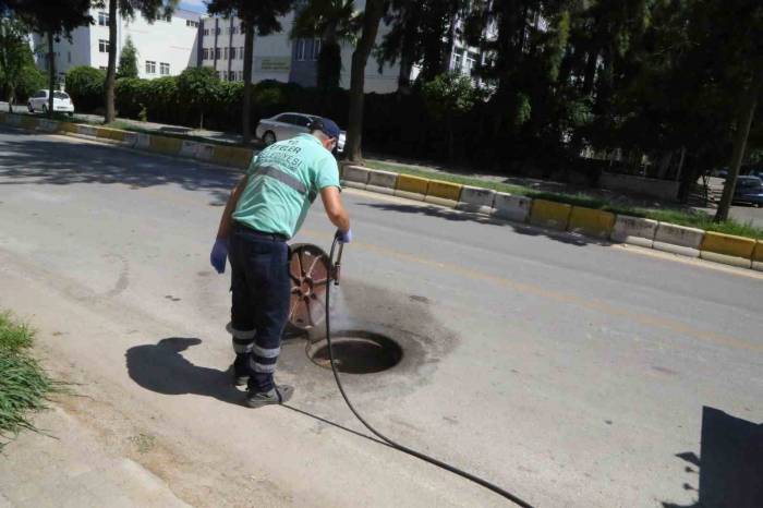 Başkan Atay: “sivrisineklerle Mücadelemiz Aralıksız Sürüyor”