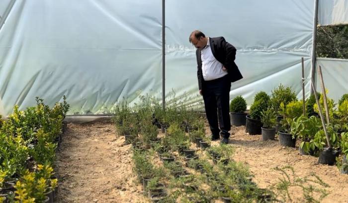 Belediye Başkanı Doğan: "ata Tohumlarına Sahip Çıkıyoruz”