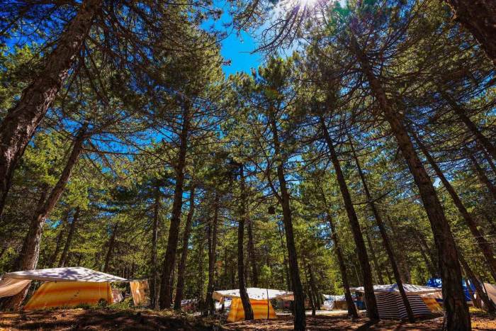 Doğasıyla Cezbeden Kefe Yaylası Misafirlerini Bekliyor