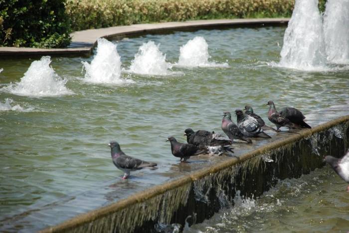 İzmir’e Kavurucu Sıcaklar Geliyor