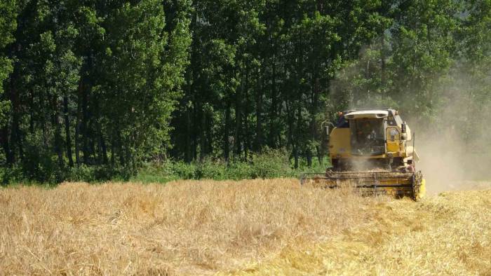 Sağanak Yağışlar Çiftçinin Yüzünü Güldürmedi