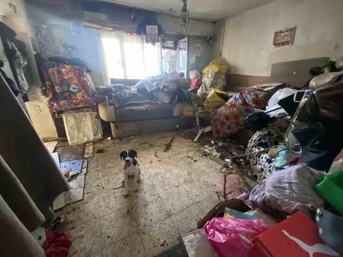Çevreye Kötü Koku Yayılan Evden 2 Kamyon Çöp İle 4 Köpek Çıktı
