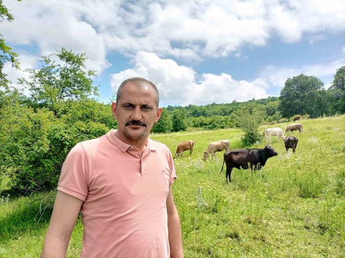 Bilecik’te 12 Gün Önce Kaybolan Düvelerden İkincisi De Bulundu
