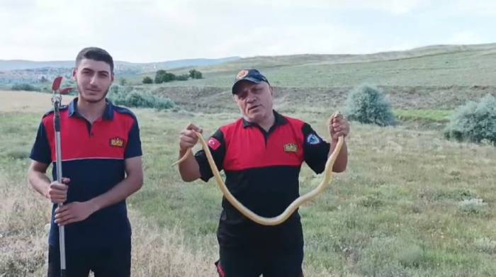 Kur’an Kursu Bahçesine Giren Yılanı İtfaiye Ekipleri Yakaladı