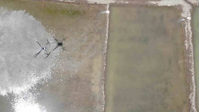 Tarımda Dron Dönem