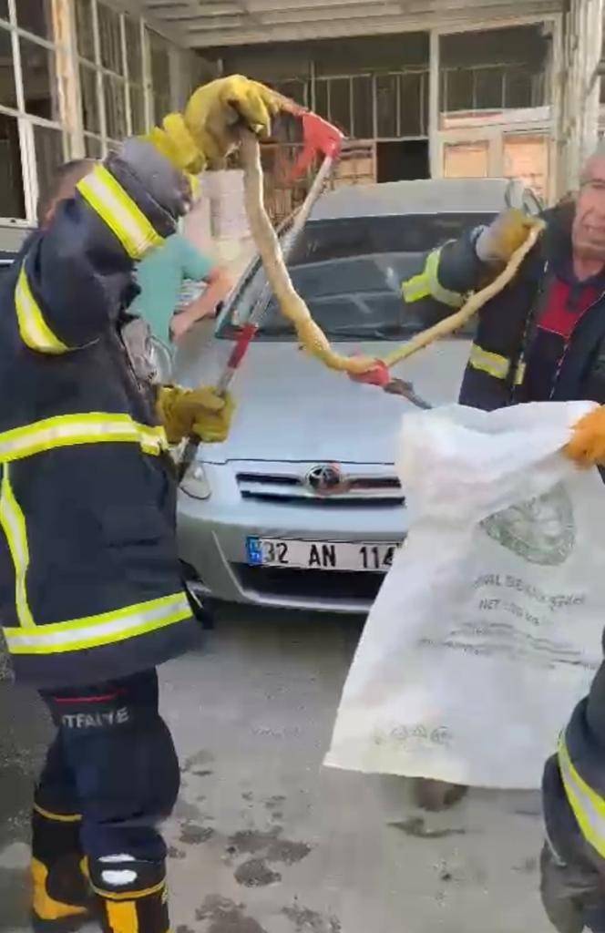 Otomobilin Motor Kısmına Giren Yılan Bagajdan Çıkarıldı