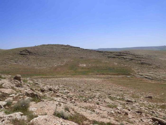 Mardin’de Pleistosen Ve Erken Holosen Döneme İlişkin Arkeolojik Yüzey Araştırması Yapılıyor