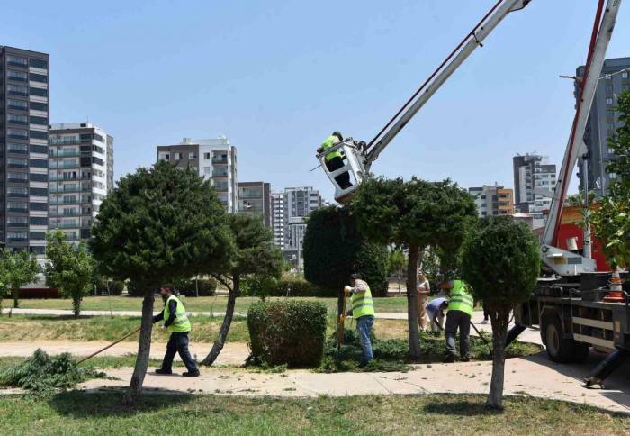 Toroslar’da Park Ve Yeşil Alanlar Bakımdan Geçiyor