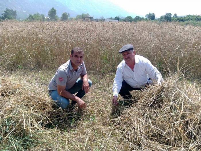 Tmo’daki Yoğunluk Nedeniyle Üreticiler Randevu Sıkıntısı Yaşıyor