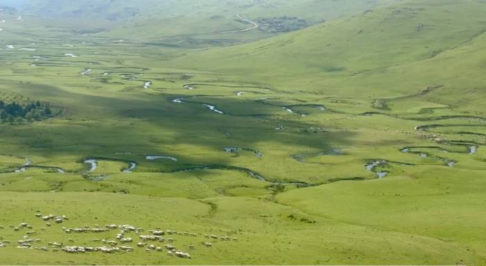 Menderesleriyle Ünlü Perşembe Yaylası Ziyaretçilerini Ağırlıyor