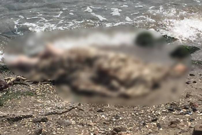 İzmir’de Deniz Kenarında Erkek Cesedi Bulundu