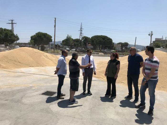 Tmo Hububat Alımlarına Devam Ediyor