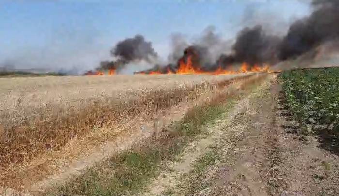 Keşan’da 80 Dönüm Buğday Tarlası Kül Oldu