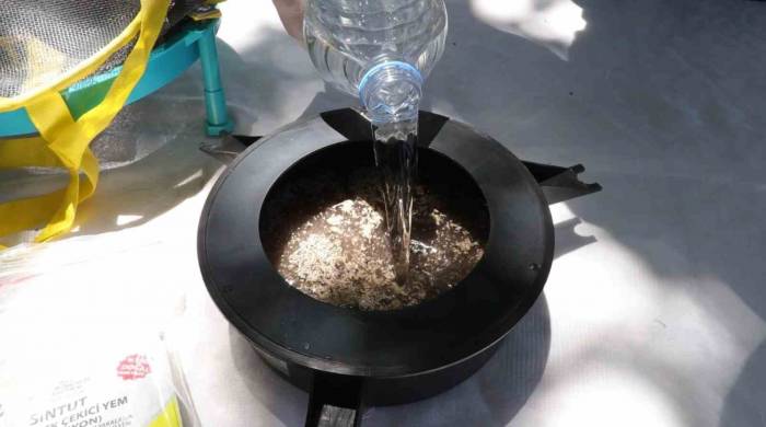 Vektör Mücadelesinde Karasinek Tuzağı