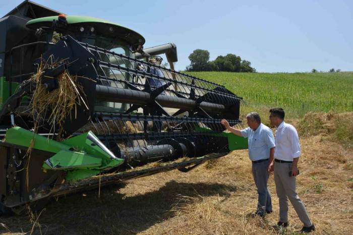 Selendi’de Arpa Ve Buğday Hasadı Başladı