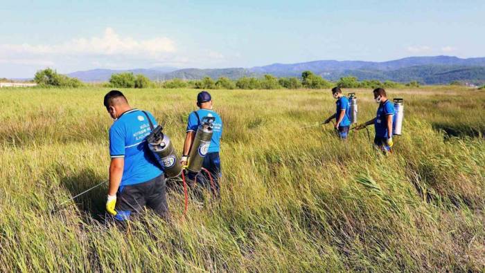 Vektör İle Mücadele Devam Ediyor