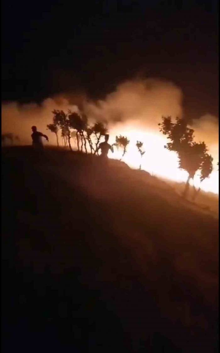 Siirt’te Gece Yarısı Korkutan Yangın: Fıstık Bahçesinde Çıktı Ormanlık Alana Sıçradı