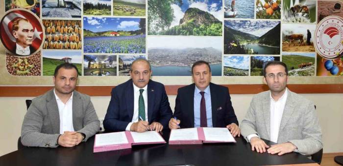Trabzon’da 400 Dönümlük Alanda İsabella Üzümü Üretimine Destek Verilecek