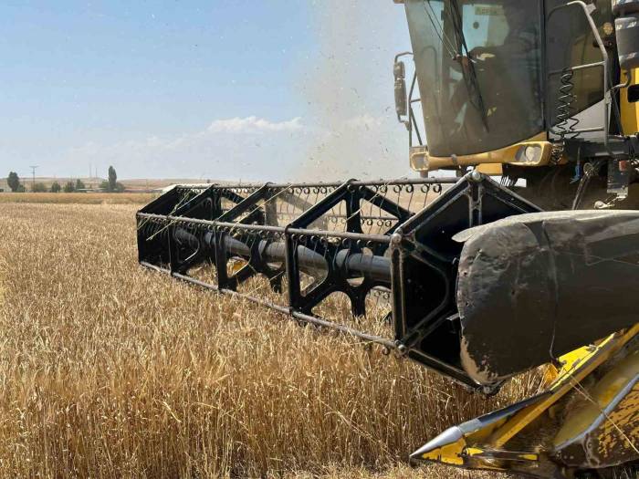 Başkent’te Arpa Hasadı Başladı