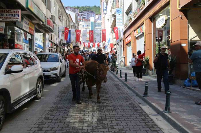 42. Kafkasör Festivali Boğalı Kortej Yürüyüşüyle Başladı