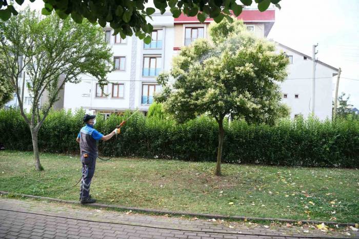 Mesire Alanları Ve Parklar İlaçlanıyor