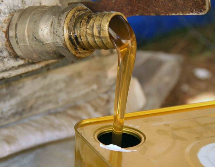 Marmaris Ticaret Odası Başkanı Ayhan: "çam Balında Rekolte Yükseliyor"