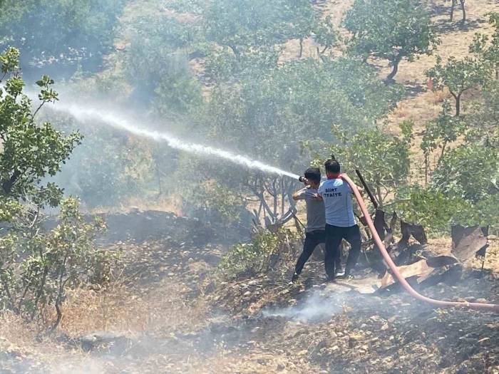 Siirt’te Fıstık Bahçesinde Çıkan Yangın Söndürüldü