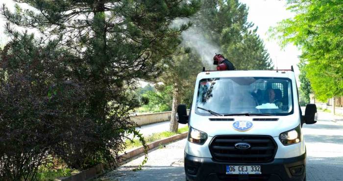 Sinek Ve Haşere İle Mücadele