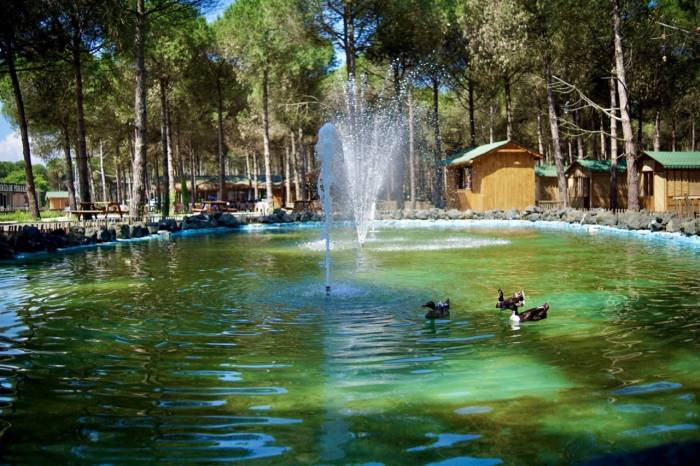 Samsun’un Yeni Turizm Merkezi: Çarşamba Orman Park