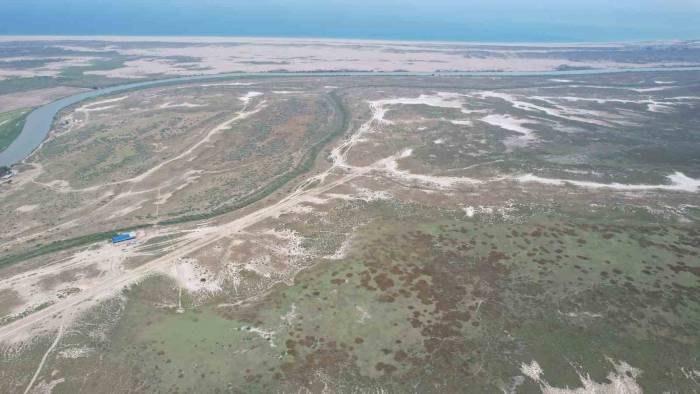 Tarla Balıkçılığı Ekonomiye 450 Milyon Dolar Katkı Sağlayacak