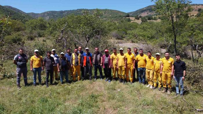 Amasya’da Menengiç Ormanları ‘fıstık’ Gibi Olacak