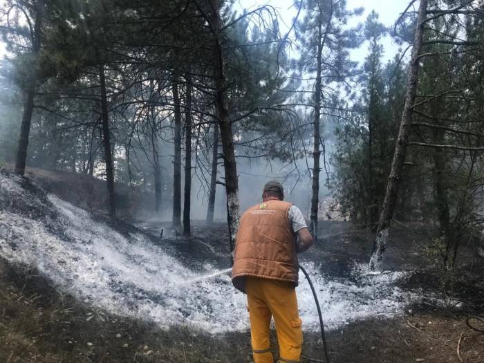 Bademlik Tepesinde Çıkan Yangın Söndürüldü