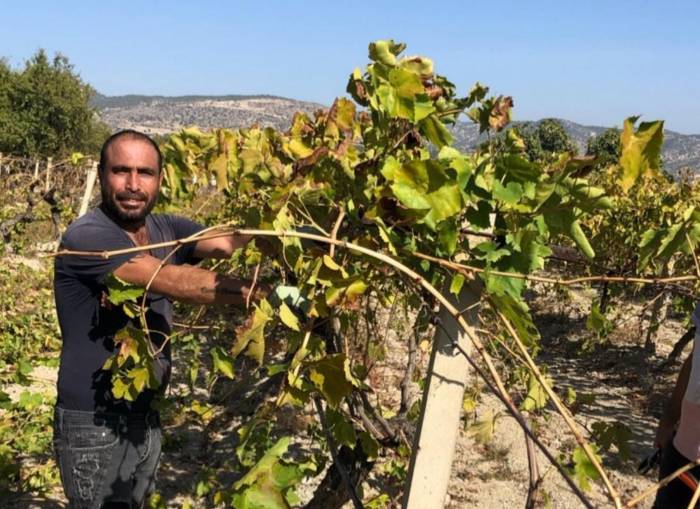 Tarım İşçileri Araç İçerisinde Yarı Çıplak Ceset Buldu