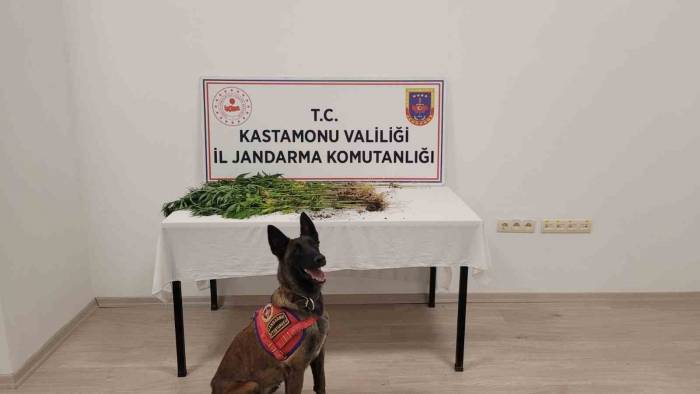 Kastamonu’da Uyuşturucu Operasyonu: 3 Gözaltı