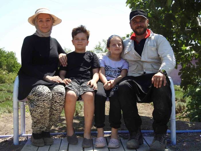 Genç Girişimci Çiftin Kurduğu Lavanta Bahçesinde Hasat Başladı