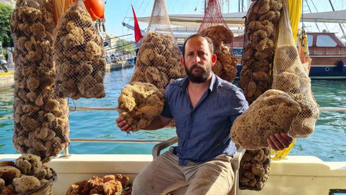 Dünya Pazarına Kilosu 70 İle 120 Euro Arasında Satılıyor